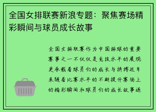 全国女排联赛新浪专题：聚焦赛场精彩瞬间与球员成长故事
